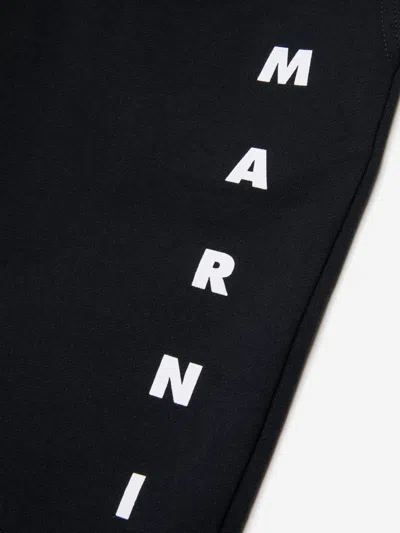 Marni Cotton Shorts With Logo Print Kids In Black