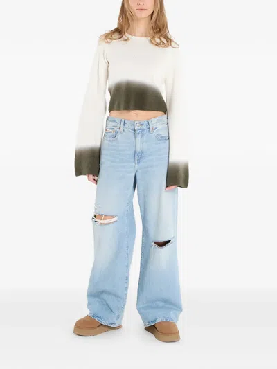 Dime Cropped Long-sleeve Top In Multi
