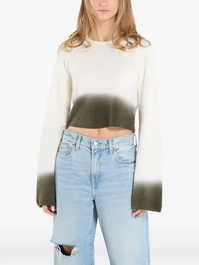 Dime Cropped Long-sleeve Top In Multi