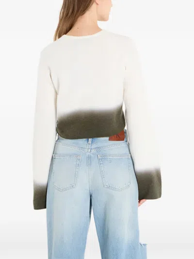 Dime Cropped Long-sleeve Top In Multi