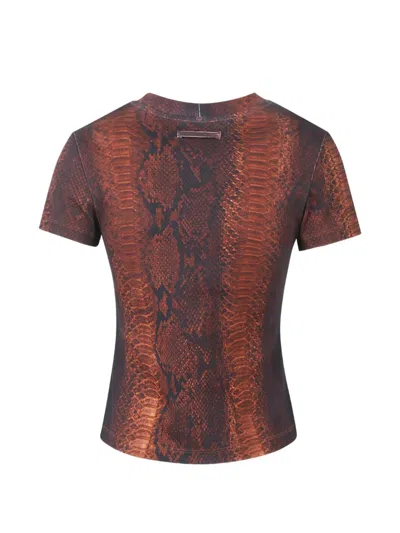 Jean Paul Gaultier Python-print Crew-neck T-shirt In Brown