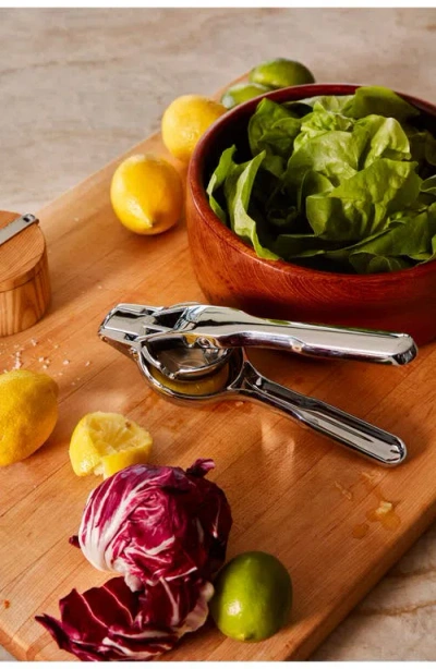 Holcomb Link Citrus Press In Transparent