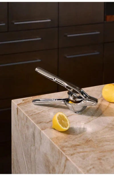 Holcomb Link Citrus Press In Transparent