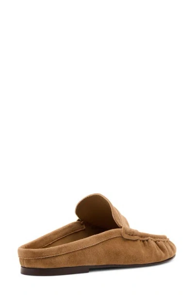Steve Madden Rafe Loafer Mule In Multi