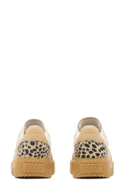 Sorel Ona Ave T-toe Platform Sneaker In Multi