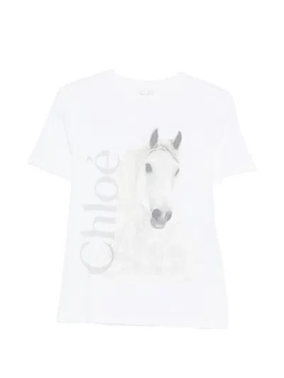 Chloé Cotton Crew Neck Graphic Short Sleeve T-shirt In White