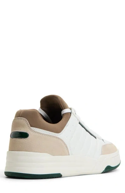 Aldo Mauro Sneaker In Multi