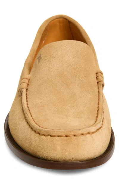 Tod's Beige Loafers With Embossed Logo And Stud Details On The Back In Leather Woman In Brown