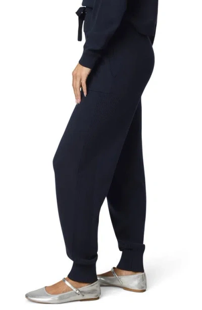 Splendid Phoebe Silk-blend Sweater Jogger In Blue
