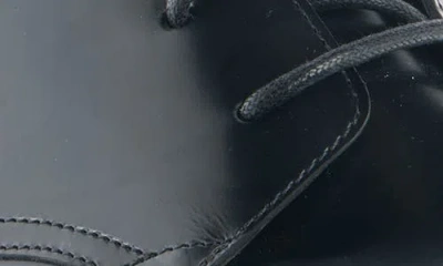 Acne Studios Breps Derby In Multi