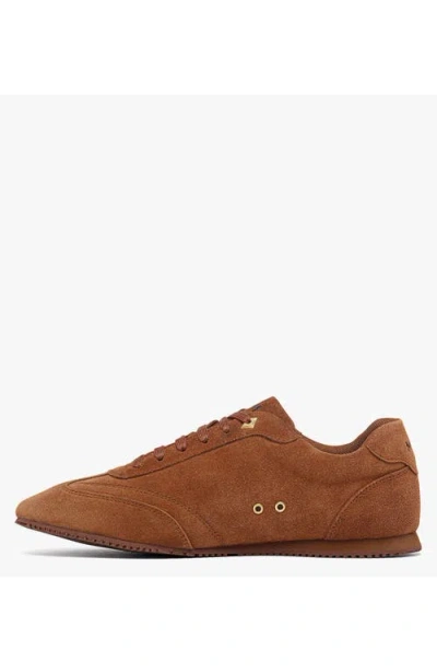 Mcm Federlite Lo Sneakers In Laurel Suede Leather In Brown