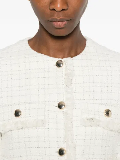 Maje Fringed Buttoned Tweed Jacket In White