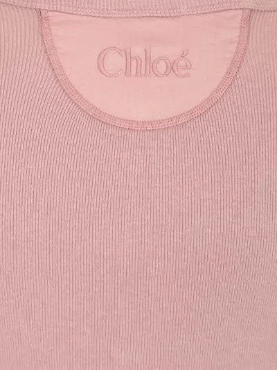 Chloé Knit Pullover Long Sleeves Crew Neck Ribbed In Animal Print