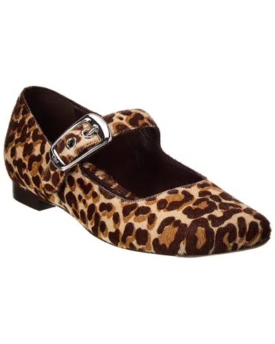 Chloé Polly Haircalf Ballerina Flat In Brown