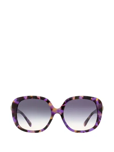 Coach Square-frame Sunglasses In Black