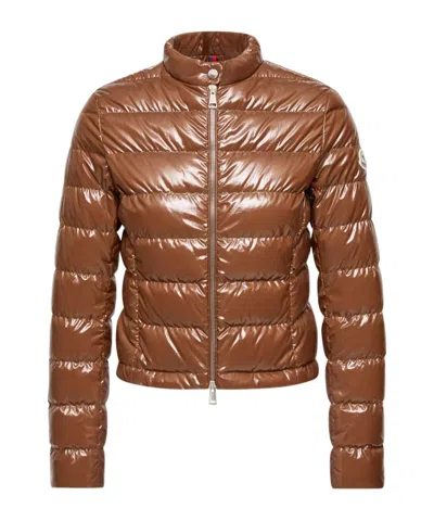Moncler Papillon Short Down Jacket With Glossy Finish In Brown