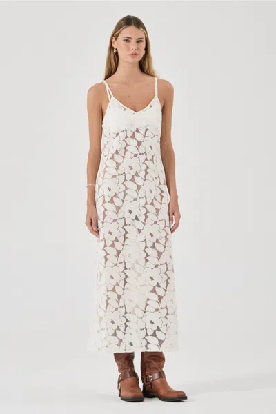 Rolla's Jeans Us Edith Lace Slip Dress In White