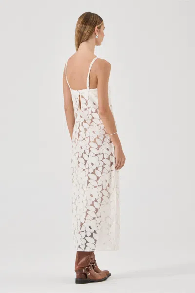 Rolla's Jeans Us Edith Lace Slip Dress In White