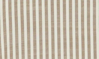 Max Studio Oversize Stripe Button-up Shirt In Brown