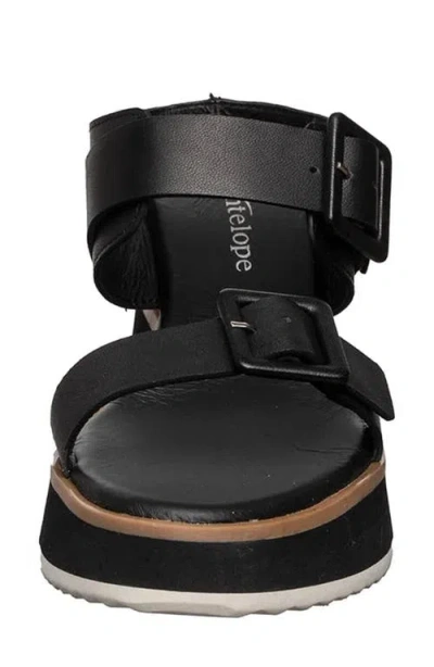 Antelope Dolly Platform Wedge Sandal In Black