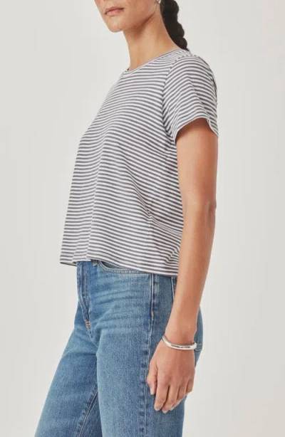 Splendid Louisa Stripe T-shirt In Multi