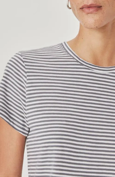 Splendid Louisa Stripe T-shirt In Multi