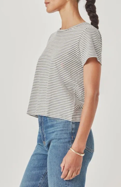 Splendid Louisa Stripe T-shirt In Multi