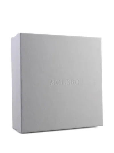 Molebo Pony Silver-tone Belt In Black