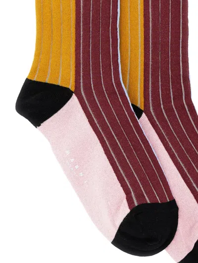 Marni Striped Socks In Multi