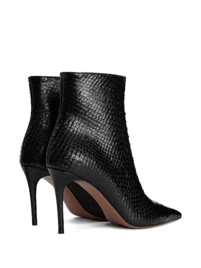 Paris Texas Vera 105 Snake-effect Leather Ankle Boots In Multi
