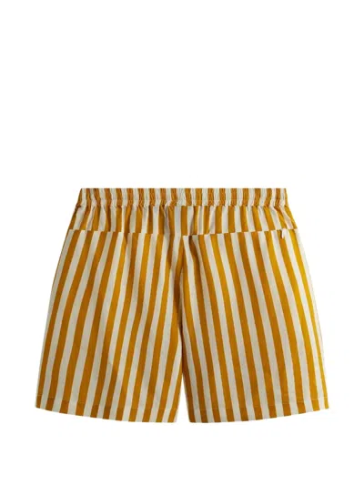 Kith Cedar Striped Shorts In Multi