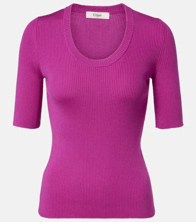 Chloé Chloe Logo-embroidered Ribbed Wool Top In Multi