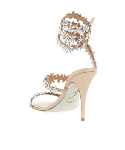 René Caovilla Flat Sandal Rene Caovilla Woman Color Pink In Multi