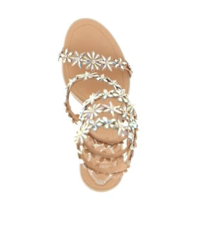 René Caovilla Flat Sandal Rene Caovilla Woman Color Pink In Multi