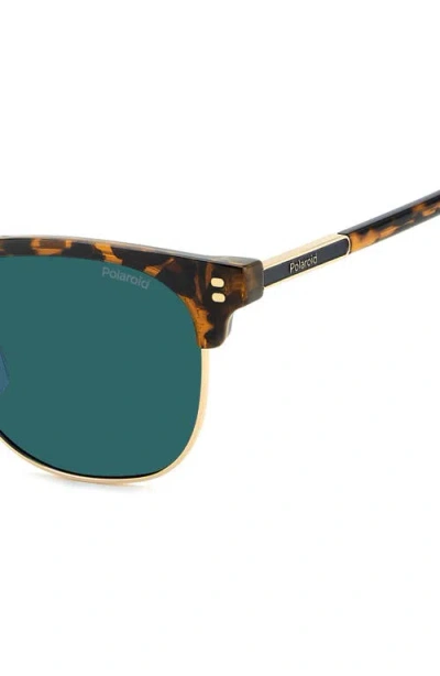 Polaroid 53mm Polarized Rectangular Sunglasses In Green