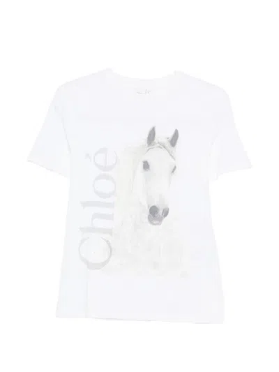 Chloé Cotton Crew Neck Graphic Short Sleeve T-shirt In White
