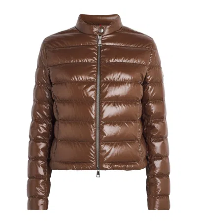 Moncler Papillon Short Down Jacket With Glossy Finish In Brown