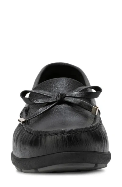 Eastland Sofia Loafer In Multi