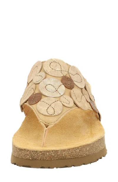 Think ! Koak Dot Flip Flop In Brown