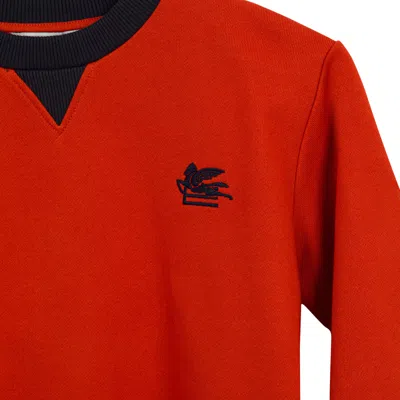 Etro Pegasus Pattern Sweater In Red
