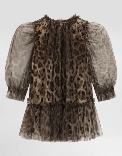 Dolce & Gabbana Leopard-print Ruffled Tulle Dress In Brown