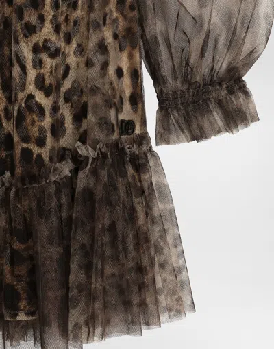 Dolce & Gabbana Leopard-print Ruffled Tulle Dress In Brown