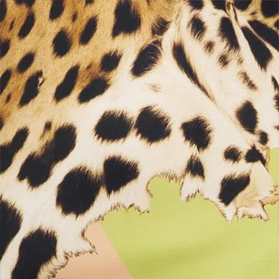 Roberto Cavalli Colorblock Jaguar-print Silk Maxi Slip Dress In Multi