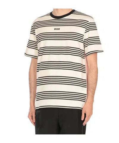 Msgm Rear Contrast Stripes Crew Neck T-shirt In Multi