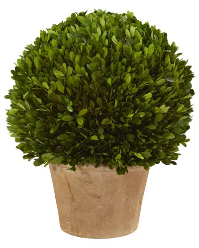 Nearly Natural 15in Boxwood Ball Preserved Plant In Planter In Green