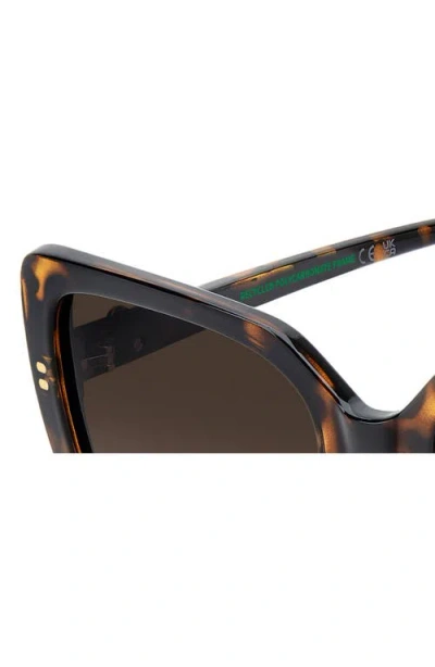 Polaroid 55mm Polarized Rectangular Sunglasses In Brown