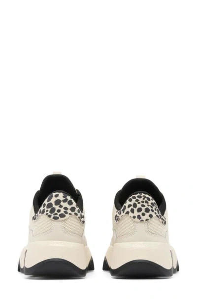 Sorel Kinetic Array Sneaker In Multi