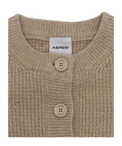 Aspesi Sweater In Neutral