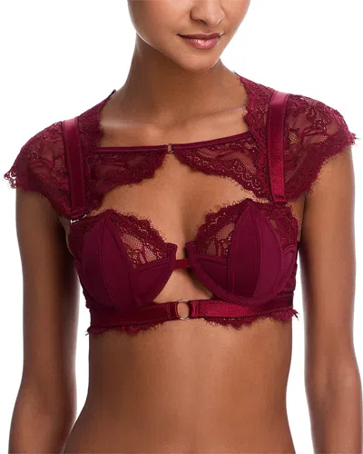 Thistle And Spire Daphne Bra In Red