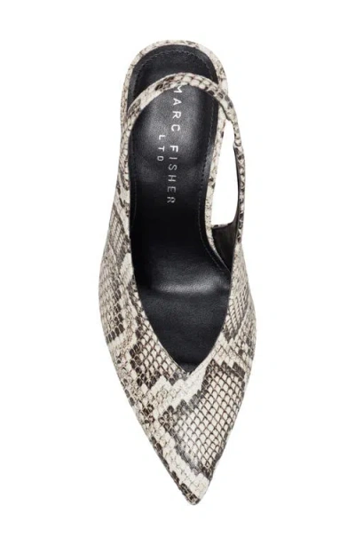 Marc Fisher Ltd Esther Slingback Pointed Toe Pump In Multi